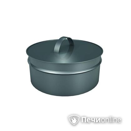 Заглушки Теплов и Сухов Заглушка ревизии Термо-Р 304 0.5 D220(120) в Воронеже