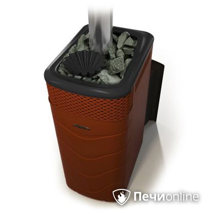 Дровяная банная печь TMF Гейзер XXL 2017 Inox Витра закрытая каменка терракота в Воронеже